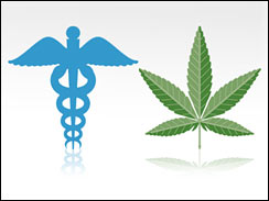Medical Marijuana now being grown in America’s Garden (State)!