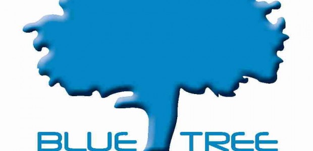 Blue Tree Marketing offers simple solution to Online Auction Fundraising