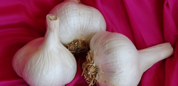 Garlic - Prevent Cancer